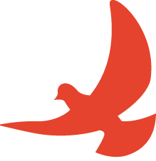 实盘配资网 铭记！勿忘！当警报再一次响彻在成都的天空上丨封面头条